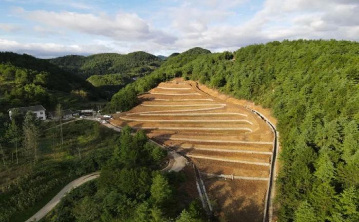 生态清理材料：助力环保，守护绿色未来